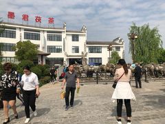 -茯茶镇