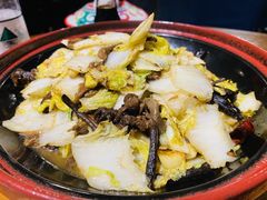 -蒙古苍狼蒙餐