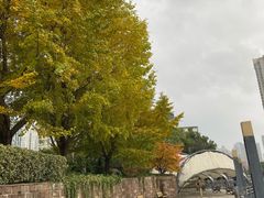 -苏州河梦清园环保主题公园