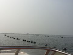 -南戴河国际娱乐中心