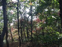 -沂蒙山旅游区云蒙景区(蒙山国家森林公园)