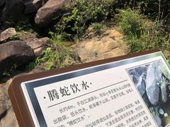 -广州白江湖森林公园