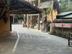 -海南槟榔谷黎苗文化旅游区