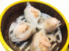 凤眼虾饺-横河佬炖品店(罗阳一路老店)