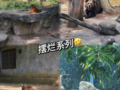 -广州动物园