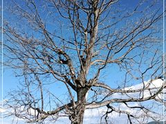 -丽江泸沽湖景区