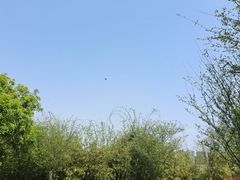 -贵阳市花溪国家城市湿地公园