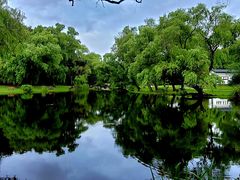 -上海共青森林公园