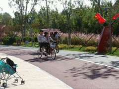 -武清南湖绿博园