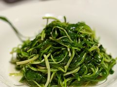 -食廬(浦东嘉里城店)