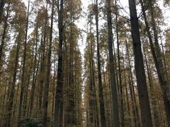 -上海怡沁园度假酒店