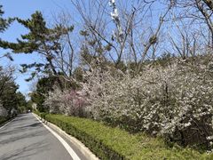 -棒棰岛宾馆景区