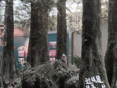 -中国湿地博物馆