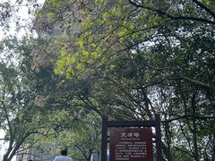 -巢湖姥山岛