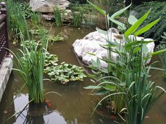 -聚缘堂·海鲜私房菜(松岭路店)