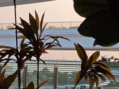 -阿山卓·野生菌火锅·纳西火塘烤肉