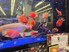 -新辉港式茶餐厅(北栅店)