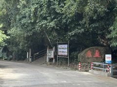 -霸王岭国家森林公园