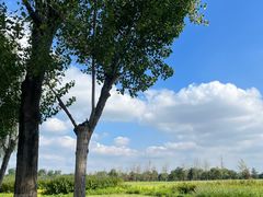 -汉长安城未央宫国家考古遗址公园