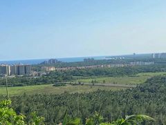 -海南铜鼓岭景区
