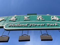 -荷兰花海