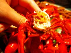 -蚝翅·海鲜粥·烧烤·宁夏滩羊季(玉米楼店)
