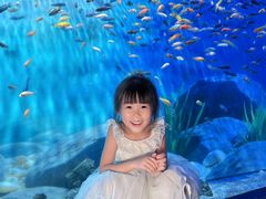 -南昌融创海世界