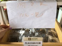 -柴犬高等学院·狗咖·柴犬售卖·宠物训练