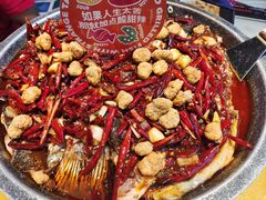 -南锣肥猫·麻辣烤鱼·15年现烤现卖(通州领展店)