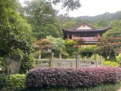 -十八棵（老龙井）御茶园(老龙井店)