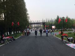 -黄海国家森林公园