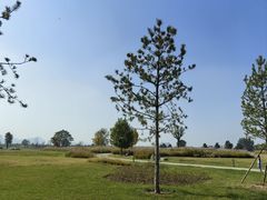 -汉长安城未央宫国家考古遗址公园