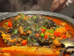 -探鱼·鲜青椒爽麻烤鱼(番禺万达店)