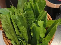 高山豌豆尖-乔先生涮肉·鲜活牛羊肉火锅(塘沽店)