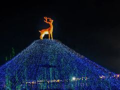 -北京鹿世界主题园