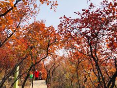 -周口店坡峰岭风景区