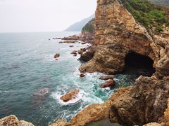 -杨梅坑