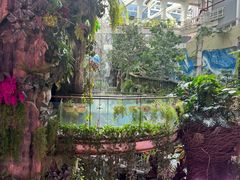 -正佳雨林生态植物园