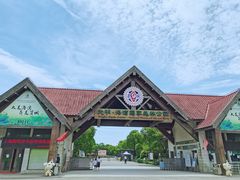 -上海海湾国家森林公园