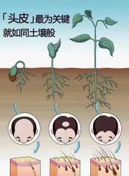 -木北造型