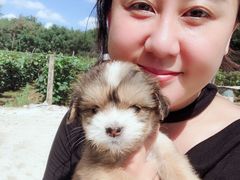 -宠颐生动物医院·心脏科·保险定点(锦阳分院)