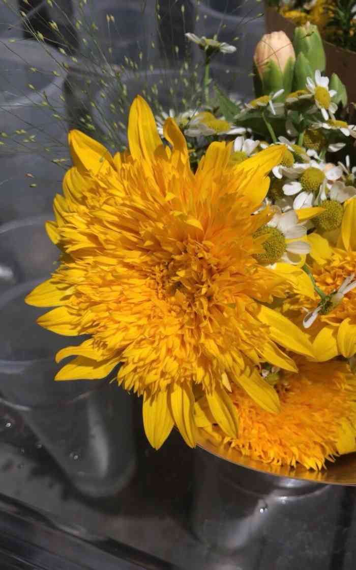 ludao鹿岛生活(龙湖重庆金沙天街店)-"第二次逛金沙天街,直奔鹿岛去了