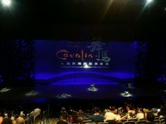 -cavalia·舞马