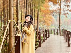 -重庆彩云湖湿地公园