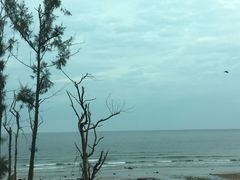 -硇洲岛旅游区