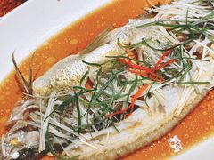 -丹江渔村(望京店)