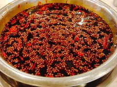 红汤锅底-朱氏胖子烂火锅(洪崖洞店)