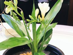 -张福记(五一公园店)