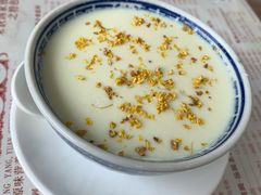 桂花姜撞奶-周大娘牛乳(旧寨古村总店)