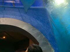 -鹿儿岛水族馆